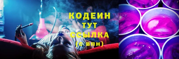 соль ск Алзамай