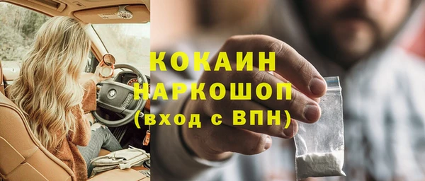 гашик Покровск