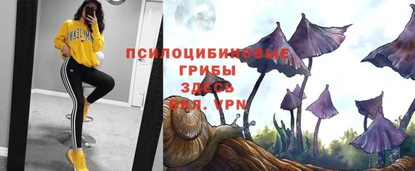 a pvp Покачи