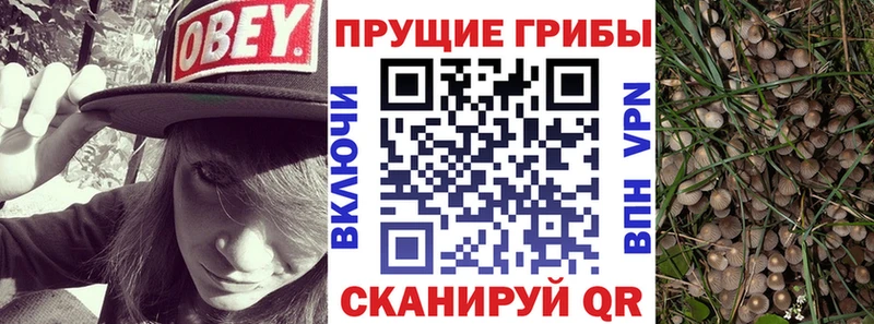 Галлюциногенные грибы Magic Shrooms  Брянск 